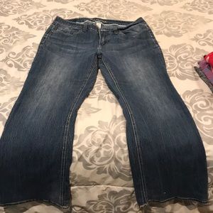Maurice’s jeans size 18 regular